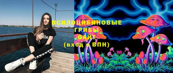 не бодяженный Михайловск