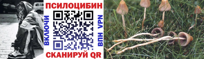 Псилоцибиновые грибы мицелий Краснослободск